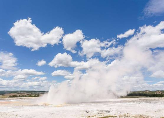 Super 8 by Wyndham Cooke City Yellowstone Park 1