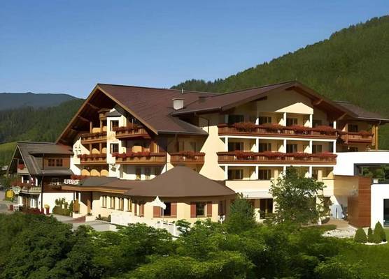 Superior Hotel Alpenhof 1
