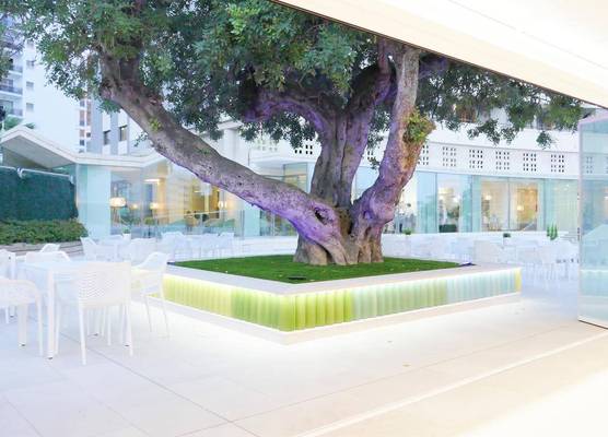 Hotel Primavera Park 1