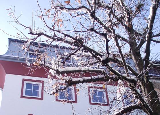 Hotel Traube 1
