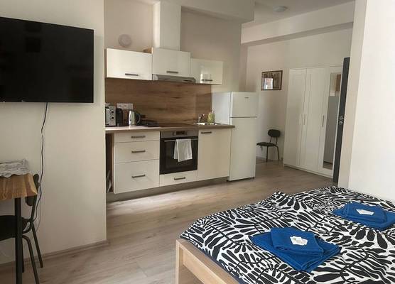 City Center Apartments - Moderna Brno Římské náměstí I 1
