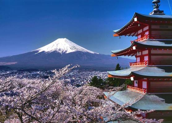 HOTEL MYSTAYS Fuji Onsen Resort 1