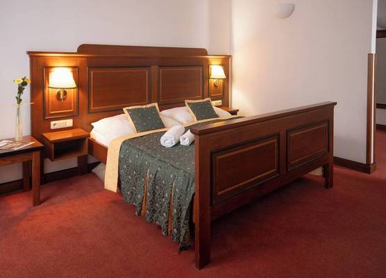 U Medvidku-Brewery Hotel 1