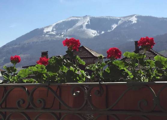 Hotel Villa San Fedele 1