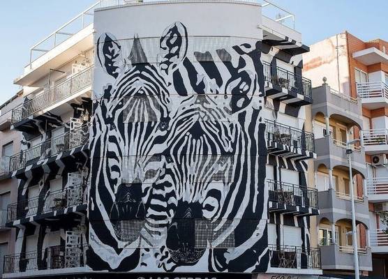 Las Cebras Apartamentos Turísticos 1