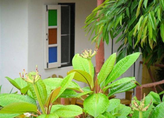 Khaolak Banana Bungalow 1