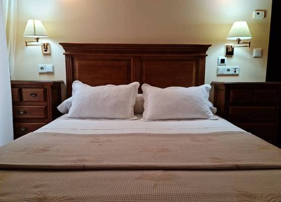 Hotel Plateros 1