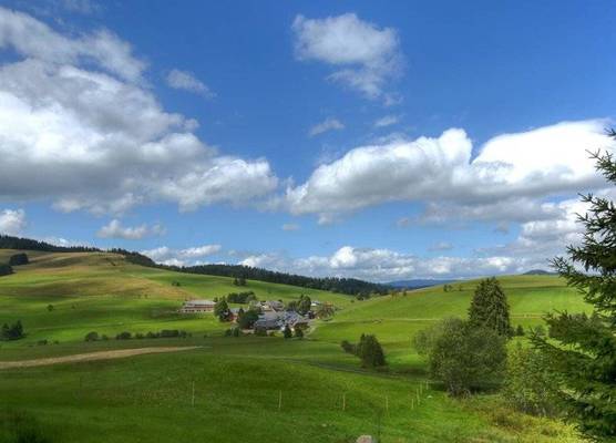 derWaldfrieden naturparkhotel 1