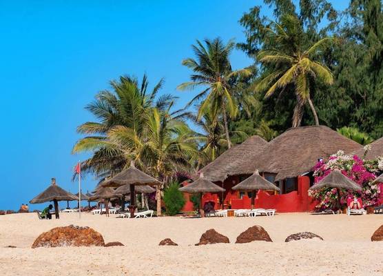 Royal Horizon Baobab 1