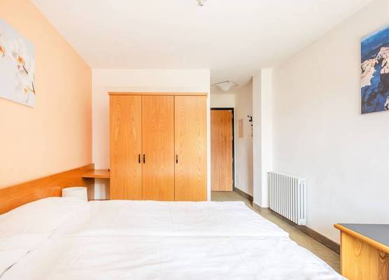 Hotel Alpina 1