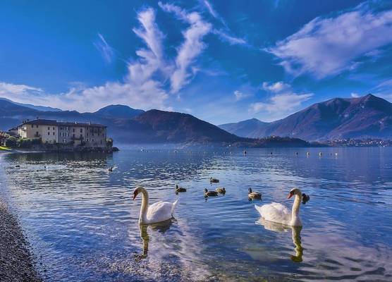 FORESTERIA GUESTHOUSE CA' DEI BACHITT 1