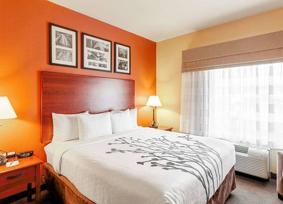 Sleep Inn & Suites Tyler South 1