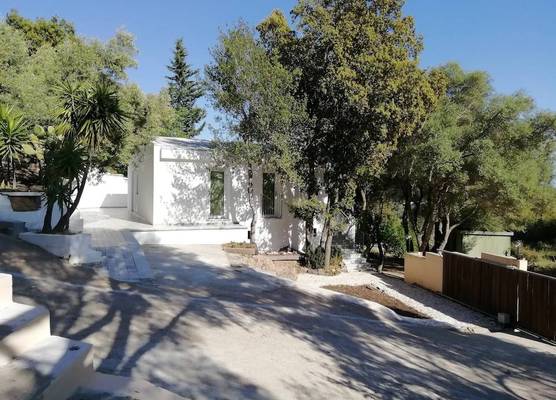 In campagna da Nino 1