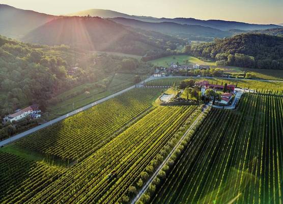Il Roncal Wine Resort - for Wine Lovers only 1