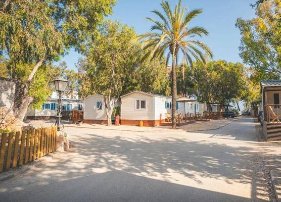 HolaCamp Sant Salvador 1