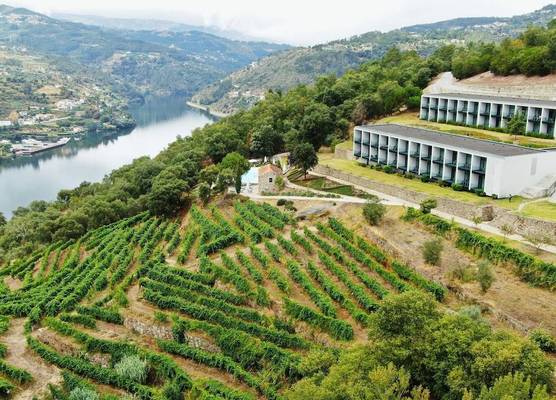 Douro Palace Hotel Resort & SPA 1
