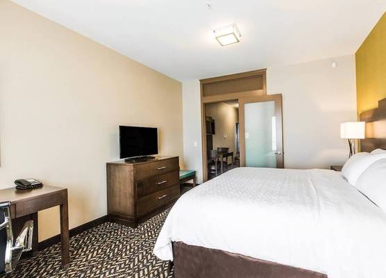 Holiday Inn Express & Suites SPRUCE GROVE - STONY PLAIN by IHG 1