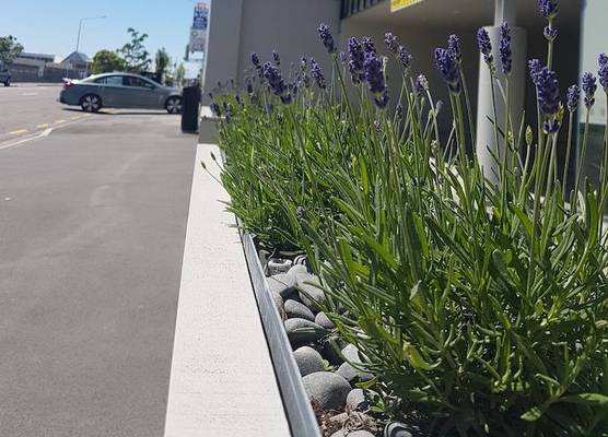 Ramada Suites by Wyndham Christchurch City 1