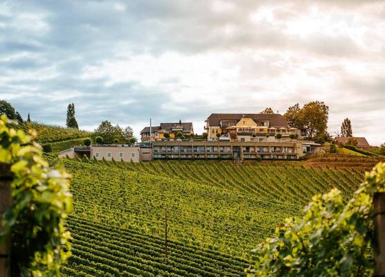 Weinrefugium Brolli 1
