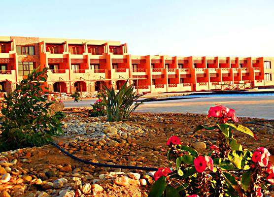 Viva Blue Resort and Diving Sharm El Naga (Adults Only) 1