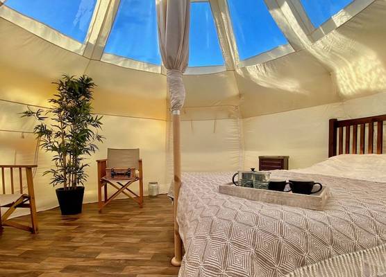 Stargazer Tent 2 1