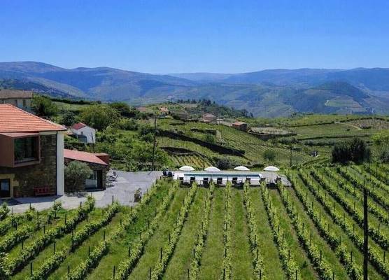 Casa do Santo - Wine & Tourism 1