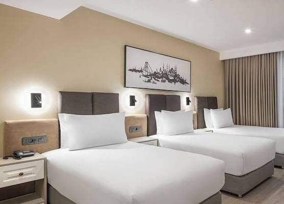 Garner Hotel Istanbul - Airport Arnavutkoy by IHG 1