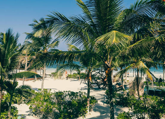 Mía Tulum Beachfront Resort 1