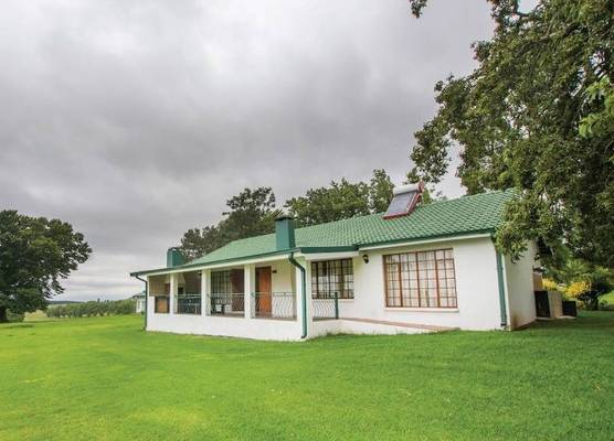 Hoyo Hoyo Machadostud Lodge 1