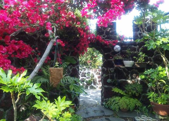 J-Garden 1
