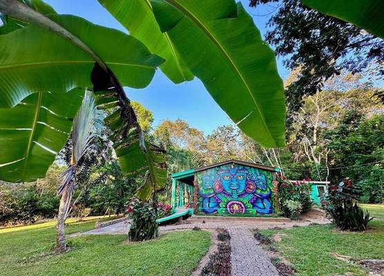 Bocawina Rainforest Resort 1