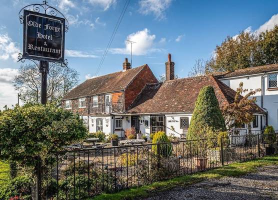 The Olde Forge Hotel 1