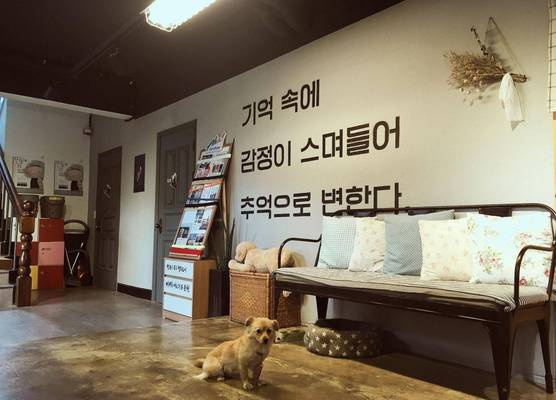 Suncheon Guest House Nreem 1