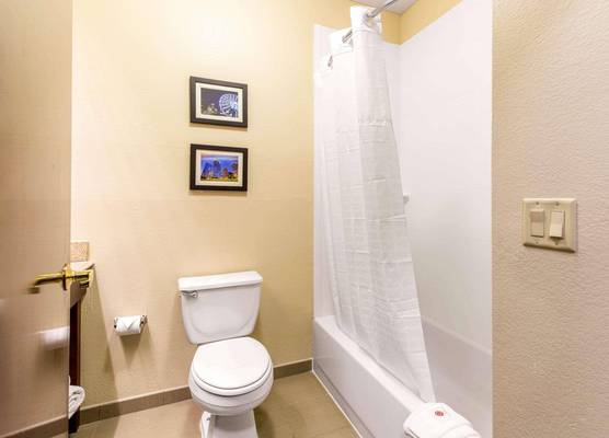 Comfort Inn & Suites IAH Bush Airport - East 1