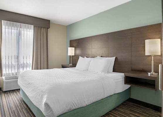 Best Western Plus Dartmouth Hotel & Suites 1