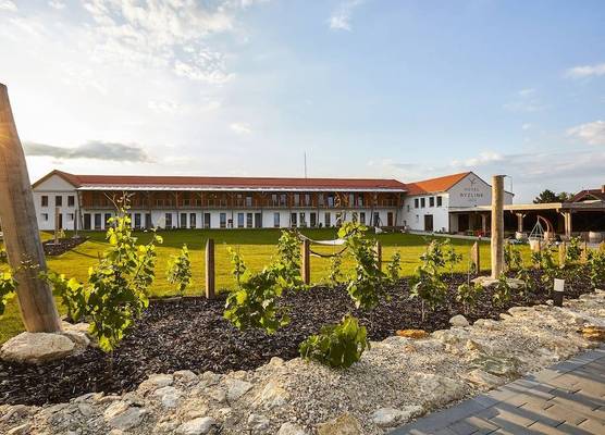 Hotel Ryzlink 1