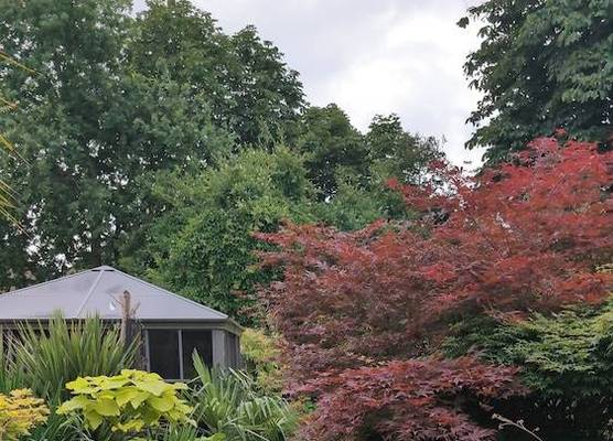 Tropical Garden Oasis 1