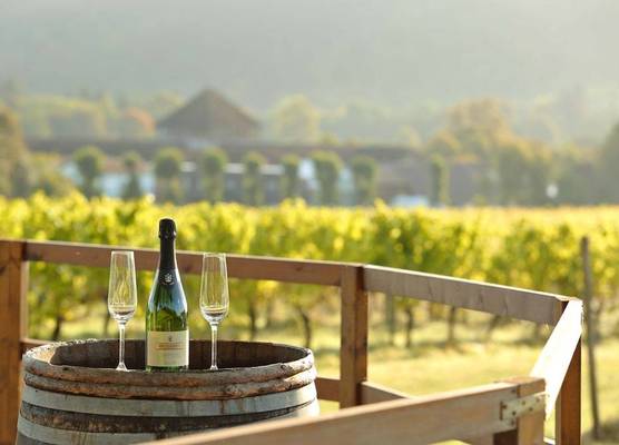 Denbies Vineyard Hotel 1