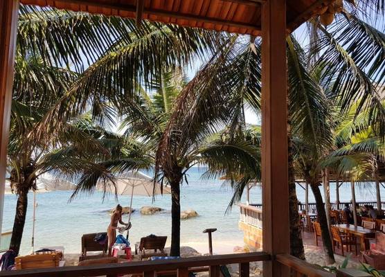 Free Beach Resort 1
