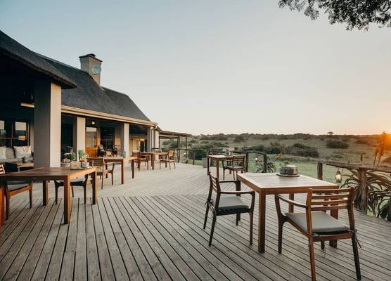 Hlosi Game Lodge - Amakhala Game Reserve 1