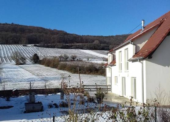 Aux vignes 1