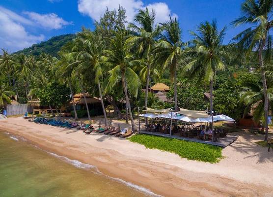 Palm Leaf Resort Koh Tao 1