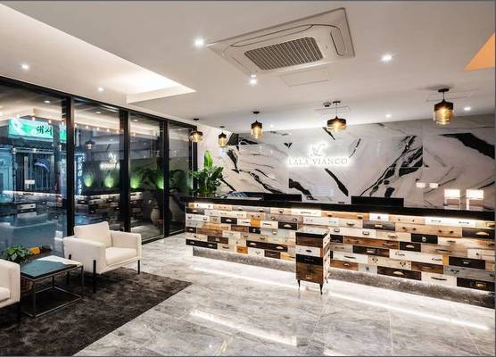 LALA VIANCO BUSINESS Hotel 1