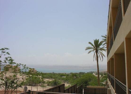 Thara Real Estate 1