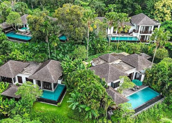 The Damai 1