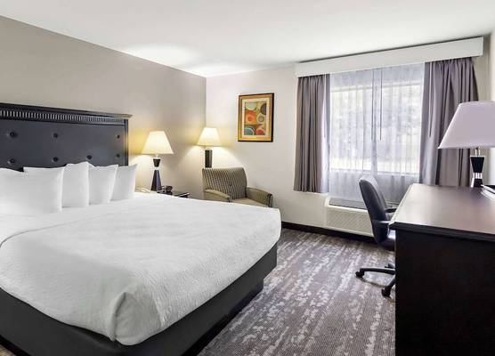 Best Western Saluki Inn 1