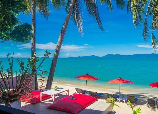 The Florist Resort 1