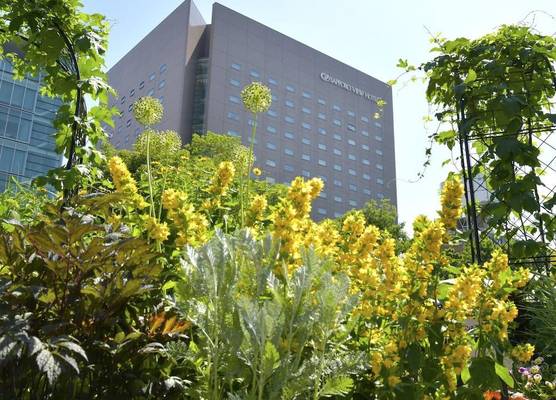 Sapporo View Hotel Odori Park 1