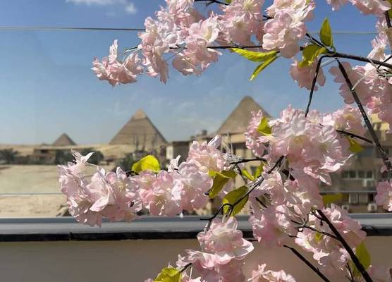 Rizk Pyramids View Hotel 1