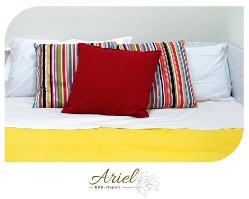 ARIEL B&B 1